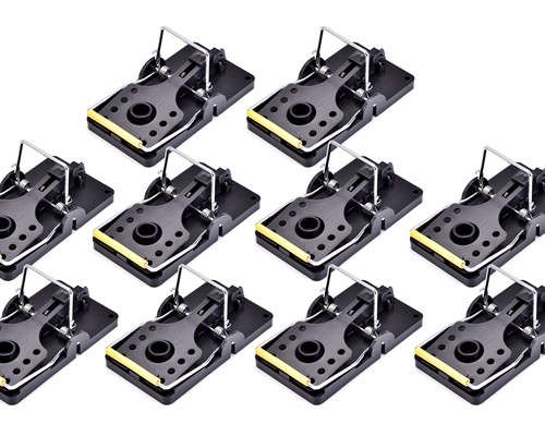 10x souris traps piège - 10x,