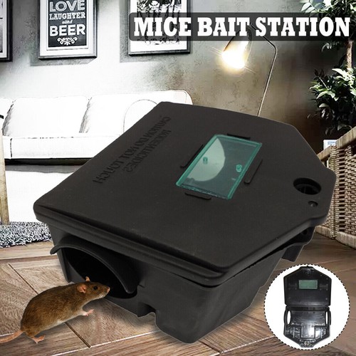 Piège rat boîte appât - à,
